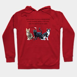 Experts state if a cat is making biscuits on you - funny watercolour cat design Hoodie